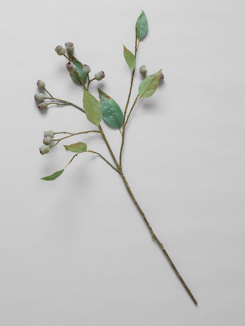 Bloomist - EcoFaux Eucalyptus Pod Branch