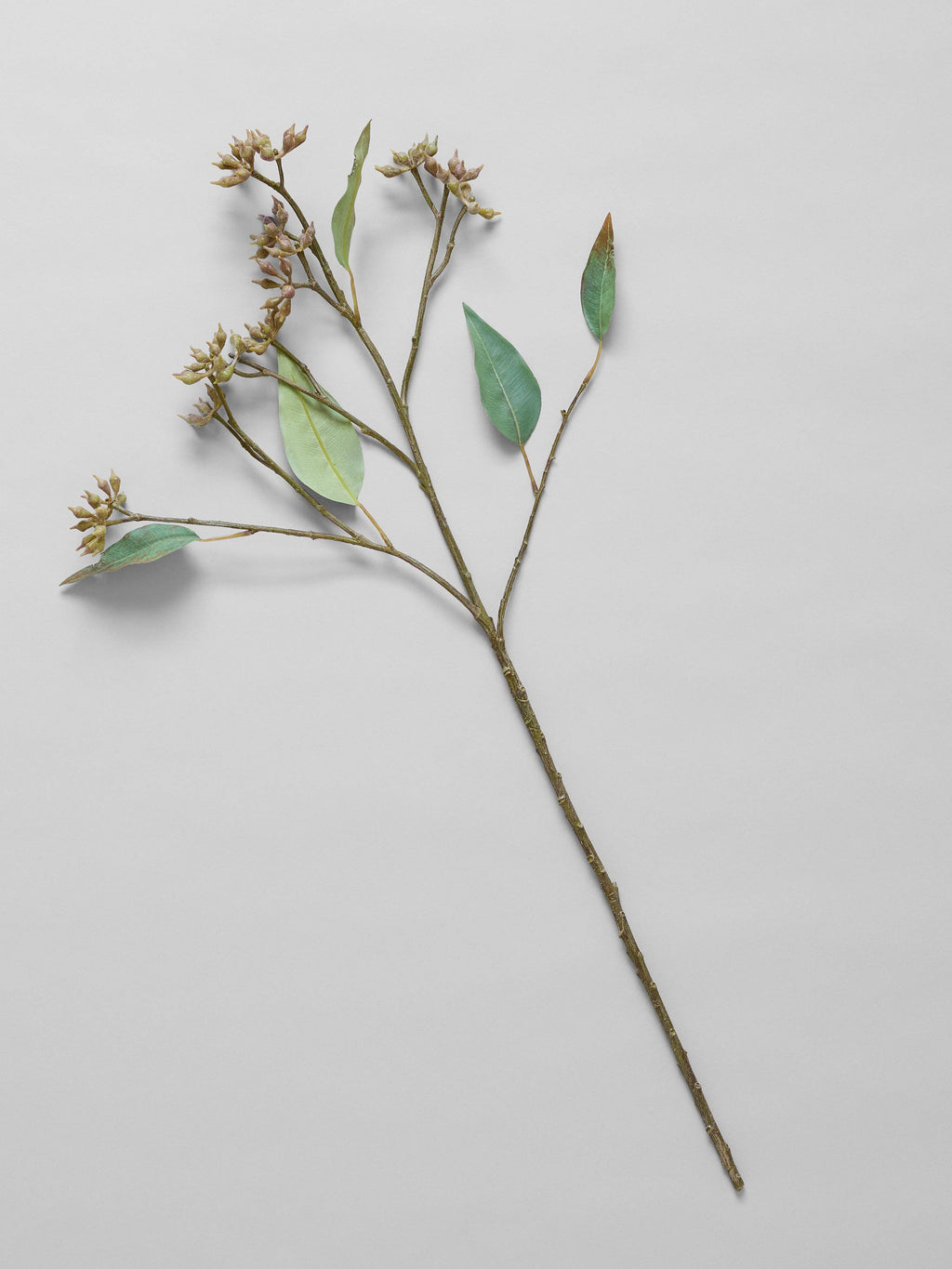 Bloomist - EcoFaux Eucalyptus Seed Branch