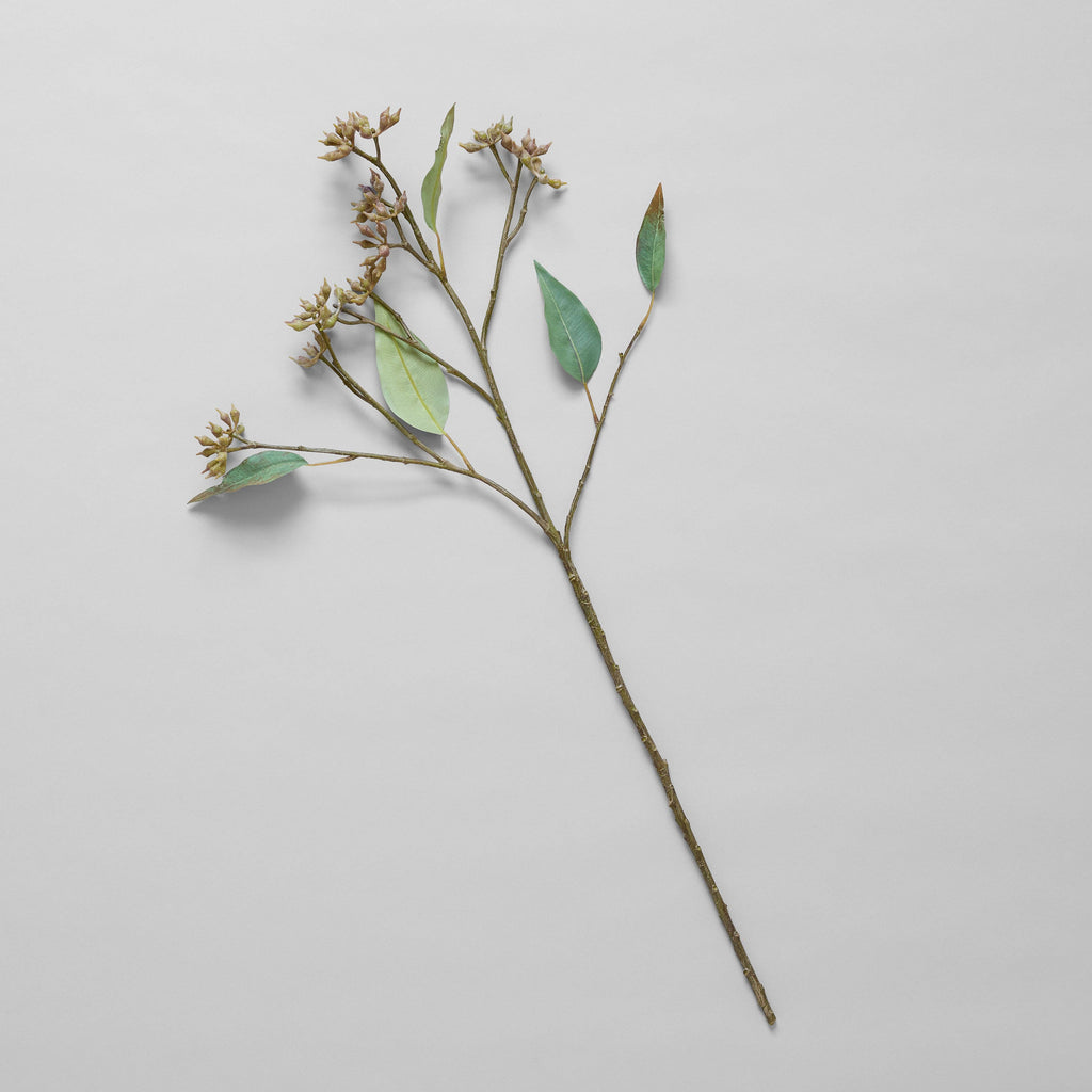 Bloomist - EcoFaux Eucalyptus Seed Branch